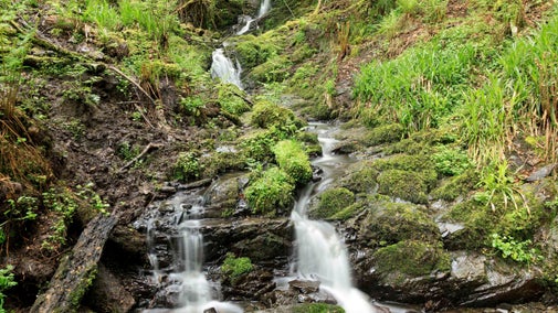 A long-exposure shot of a waterfall tumbling down over moss-covered rocks amidst woodland at Cregagh Glen and Lisnabreeny, County Down.